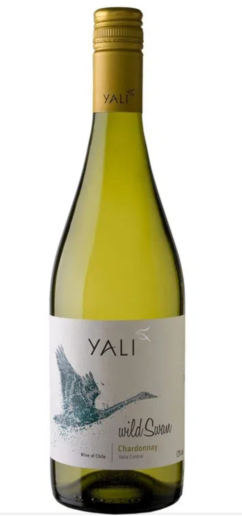 RESERVA CHARDONNAY - YALI CHILE